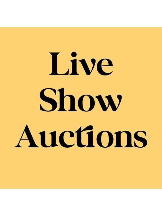 Other - #176-#250 Live Show Auctions